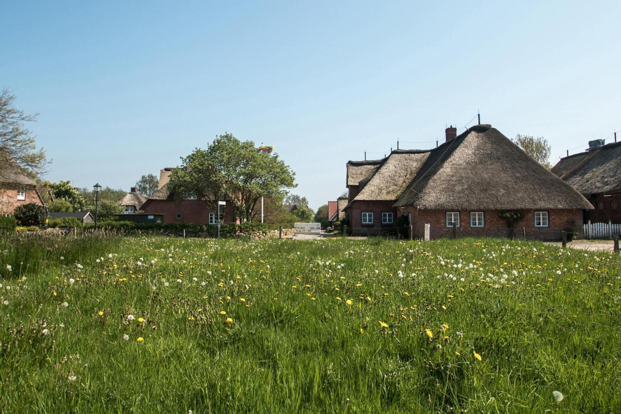 Reethus Gluecklicher Matthias Hausteil Waasterlun Oldsum Esterno foto